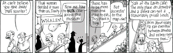 The Elderberries on Thursday April 24, 2008 Comic Strip