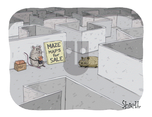 The Wandering Melon on Tuesday November 30, 2021 Comic Strip