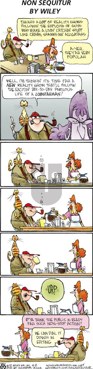 Non Sequitur on Sunday September 2, 2012 Comic Strip