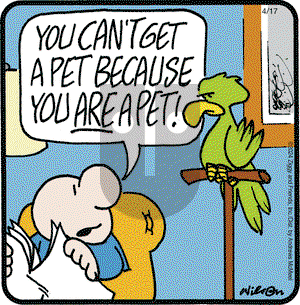 Ziggy - Wednesday April 17, 2024 Comic Strip