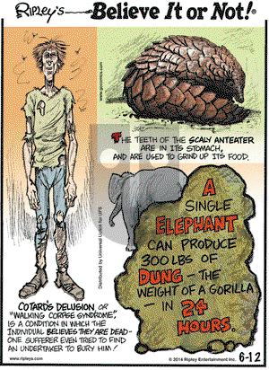 Ripley's Believe It or Not on Thursday June 12, 2014 Comic Strip