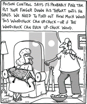 The Argyle Sweater on Friday March 12, 2010 Comic Strip