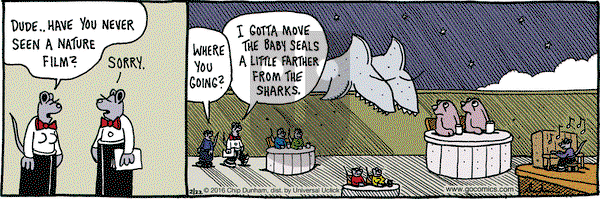 Overboard on Monday February 22, 2016 Comic Strip