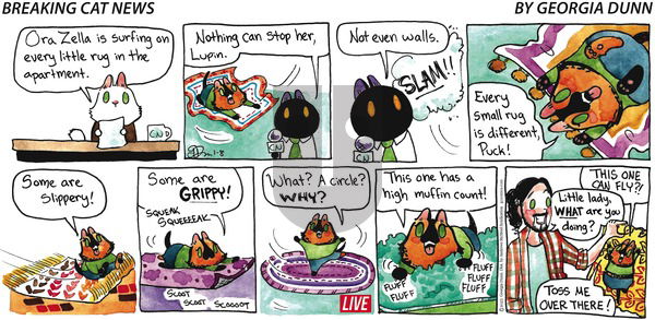 Breaking Cat News - Sunday January 8, 2023 Comic Strip