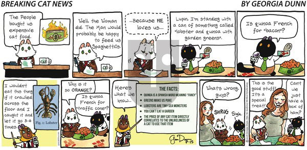 Breaking Cat News on Sunday July 15, 2018 Comic Strip