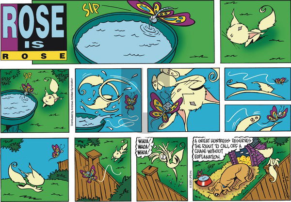Rose is Rose on Sunday July 5, 2020 Comic Strip