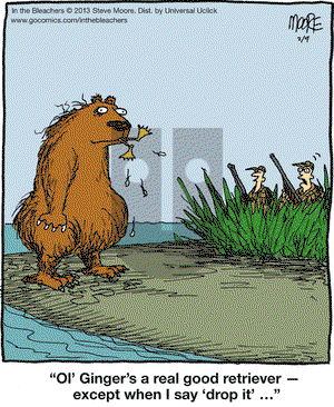 In the Bleachers on Saturday February 9, 2013 Comic Strip