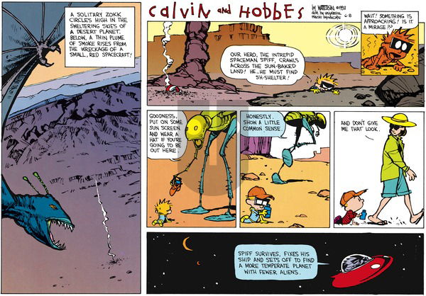 Calvin and Hobbes on Sunday July 25, 1993 Comic Strip