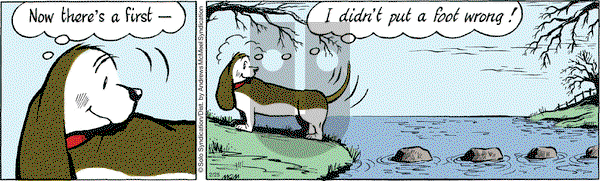 Fred Basset on Saturday February 25, 2017 Comic Strip