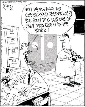 The Flying McCoys on Monday October 2, 2006 Comic Strip