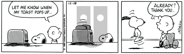 Peanuts - Friday December 28, 1990 Comic Strip