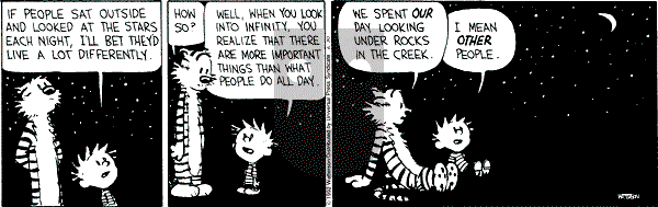 Calvin and Hobbes - Tuesday June 30, 1992 Comic Strip