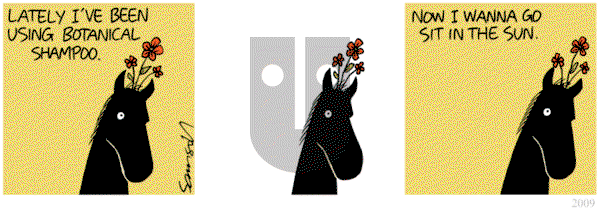 Dark Side of the Horse on Tuesday July 2, 2013 Comic Strip