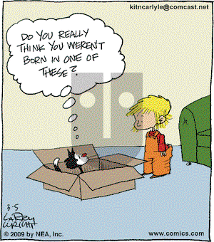 Kit 'N' Carlyle on Thursday March 5, 2009 Comic Strip