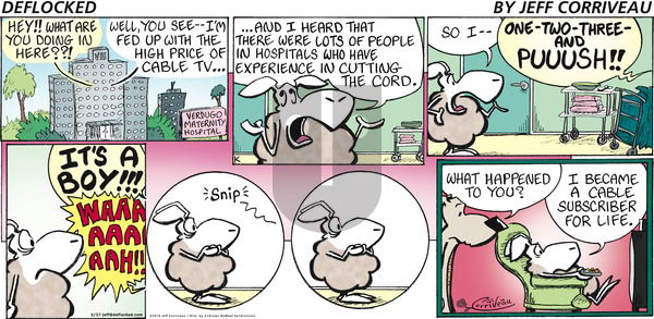 DeFlocked on Sunday May 27, 2018 Comic Strip