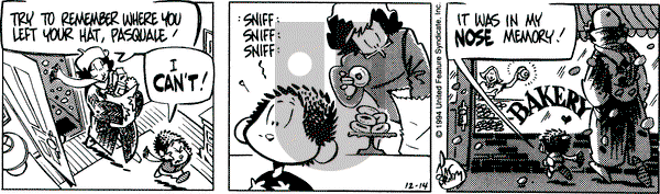 Rose is Rose on Wednesday December 14, 1994 Comic Strip