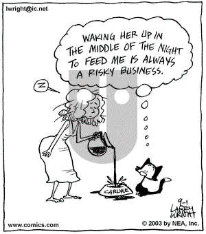 Kit 'N' Carlyle on Monday December 29, 2003 Comic Strip