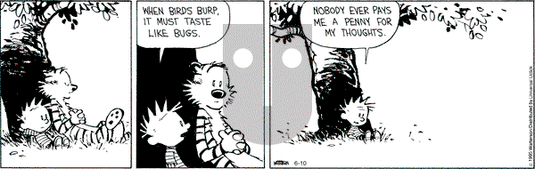Calvin and Hobbes on Wednesday June 10, 2015 Comic Strip