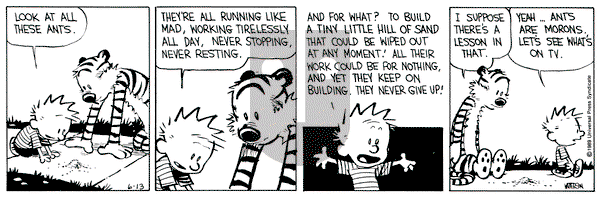 Calvin and Hobbes on Tuesday June 13, 1989 Comic Strip