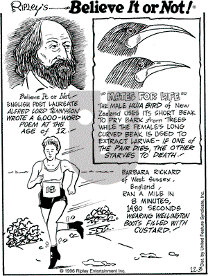 Ripley's Believe It or Not on Tuesday December 3, 1996 Comic Strip