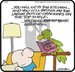 Ziggy on Saturday December 3, 2016 Comic Strip