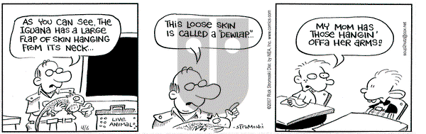 Soup to Nutz - Old on Friday April 6, 2007 Comic Strip
