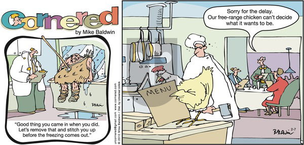 Cornered on Sunday February 7, 2010 Comic Strip