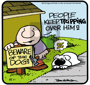 Ziggy on Tuesday July 1, 2008 Comic Strip