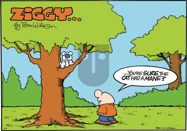 Ziggy - Sunday June 22, 2014 Comic Strip