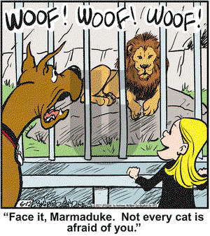 Marmaduke on Saturday June 12, 2021 Comic Strip