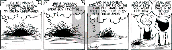9 Chickweed Lane on Thursday July 28, 1994 Comic Strip