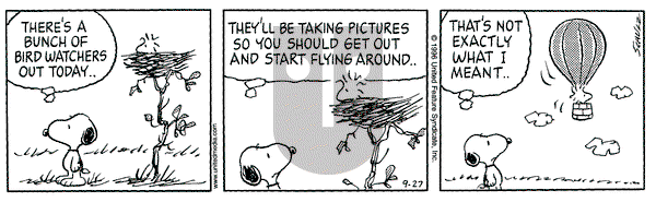 Peanuts on Friday September 27, 1996 Comic Strip