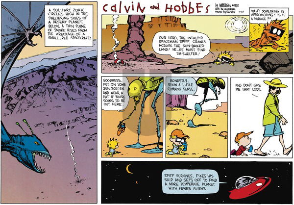 Calvin and Hobbes - Sunday July 28, 2013 Comic Strip
