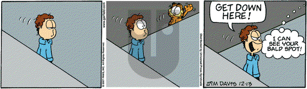 Garfield on Thursday December 13, 2007 Comic Strip