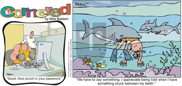 Cornered on Sunday July 22, 2018 Comic Strip
