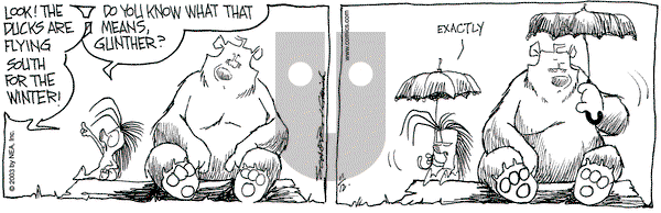 The Grizzwells on Wednesday November 12, 2003 Comic Strip