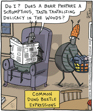 The Argyle Sweater on Wednesday December 1, 2010 Comic Strip
