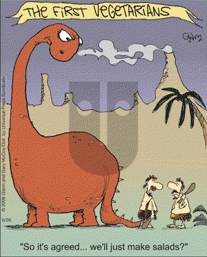 The Flying McCoys on Friday June 26, 2009 Comic Strip