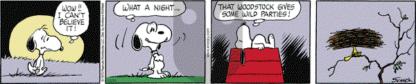Peanuts - Tuesday December 31, 2019 Comic Strip