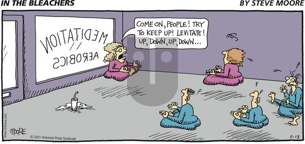 In the Bleachers on Sunday May 13, 2001 Comic Strip