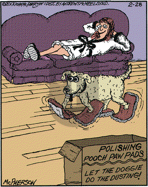 Close to Home on Tuesday February 28, 2017 Comic Strip