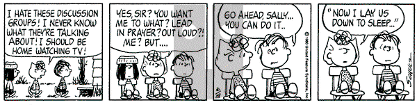 Peanuts on Wednesday June 18, 1980 Comic Strip