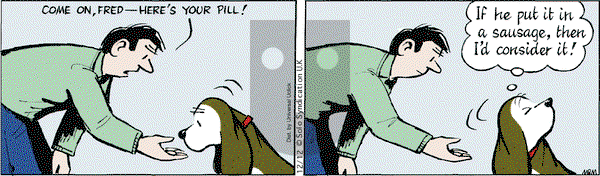 Fred Basset on Thursday December 12, 2013 Comic Strip