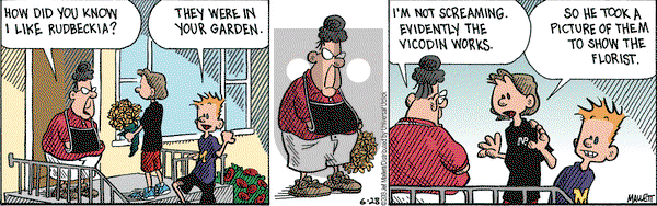 Frazz on Friday June 28, 2013 Comic Strip