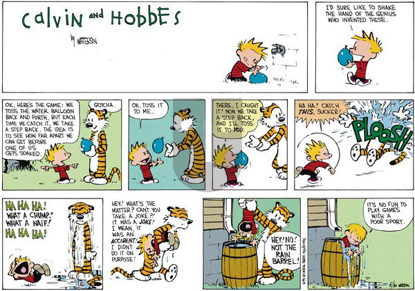 Calvin and Hobbes - Sunday July 1, 1990 Comic Strip