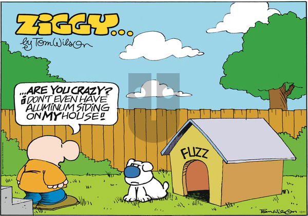 Ziggy on Sunday December 11, 2011 Comic Strip