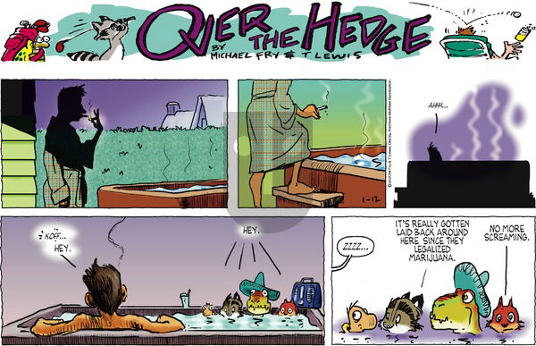 Over the Hedge on Sunday January 12, 2020 Comic Strip