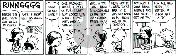 Calvin and Hobbes - Wednesday March 29, 1989 Comic Strip