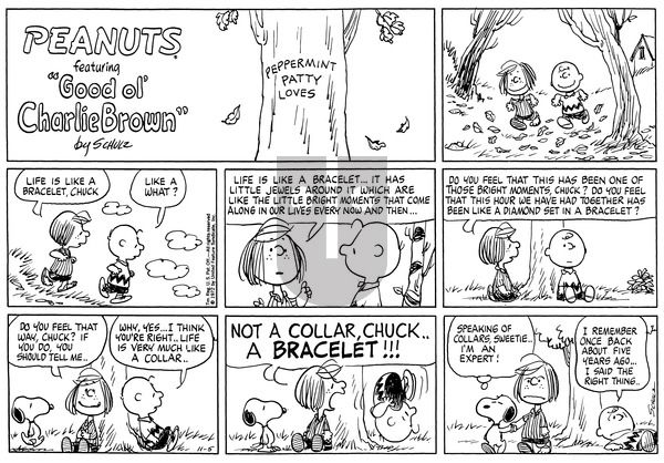 Peanuts on Sunday November 5, 1972 Comic Strip