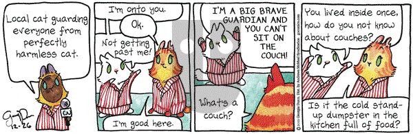 Breaking Cat News on Thursday December 26, 2019 Comic Strip